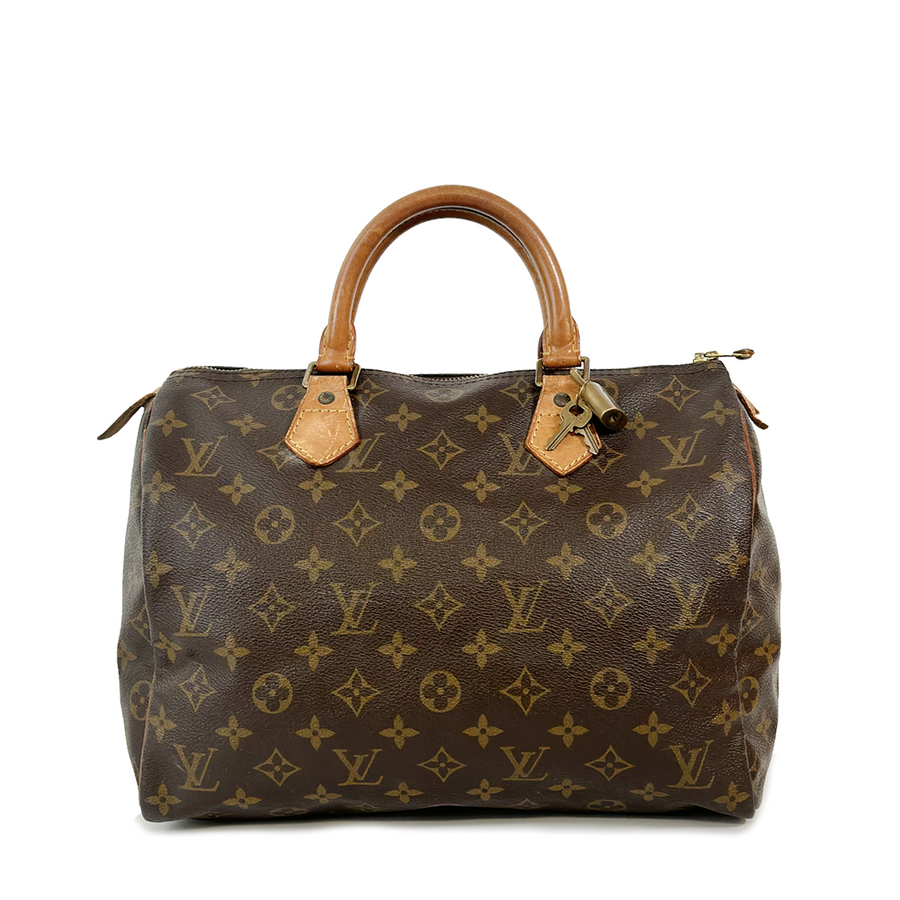 Louis Vuitton Speedy (30)