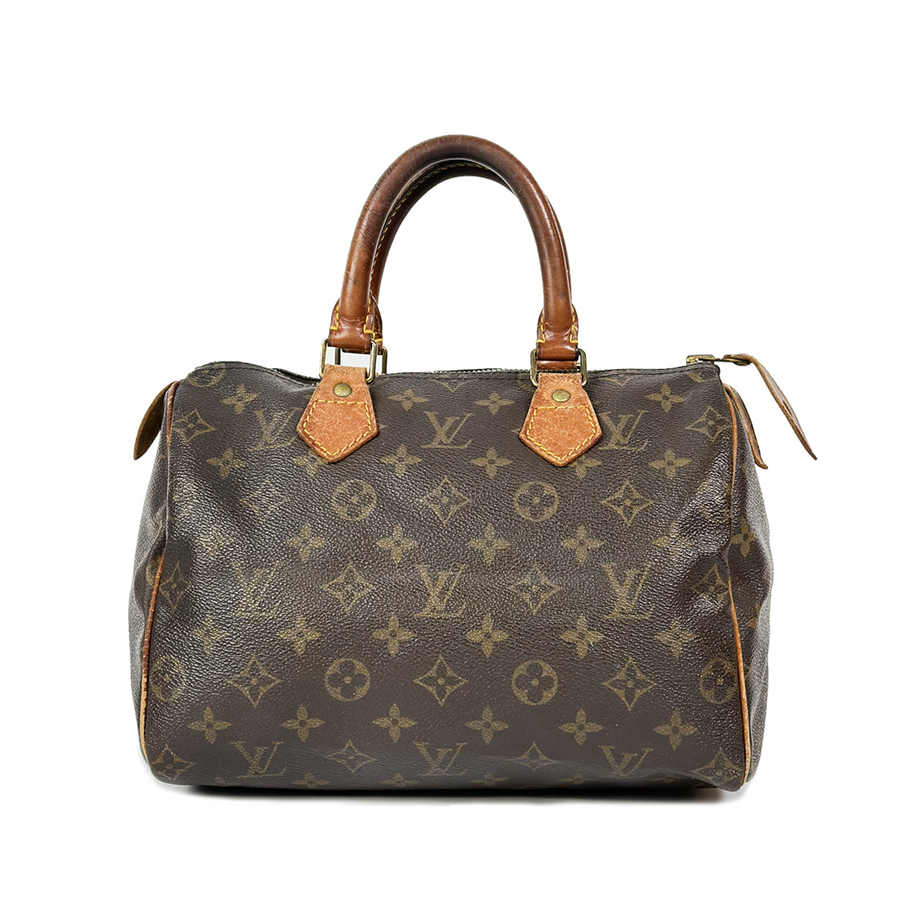 Louis Vuitton Speedy (25)