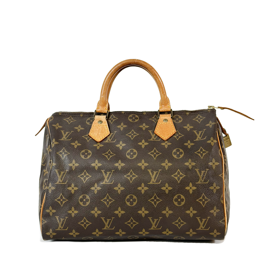 Louis Vuitton Speedy (30)