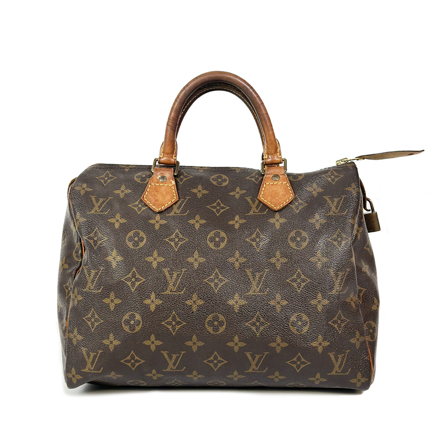 Louis Vuitton Speedy (30)