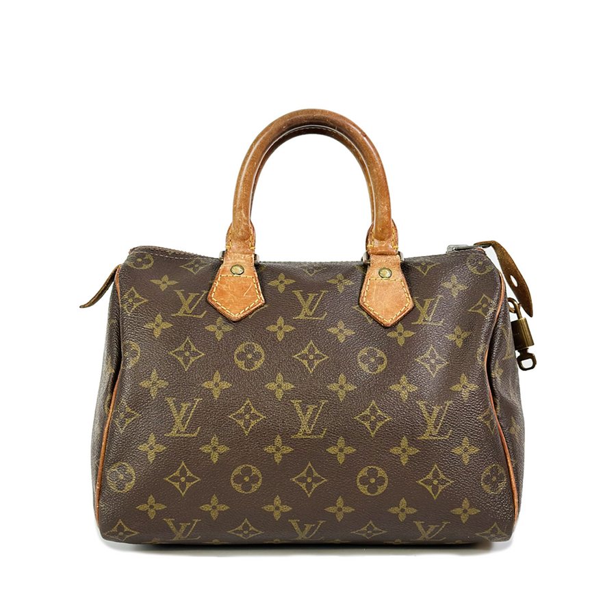 Louis Vuitton Speedy (25)