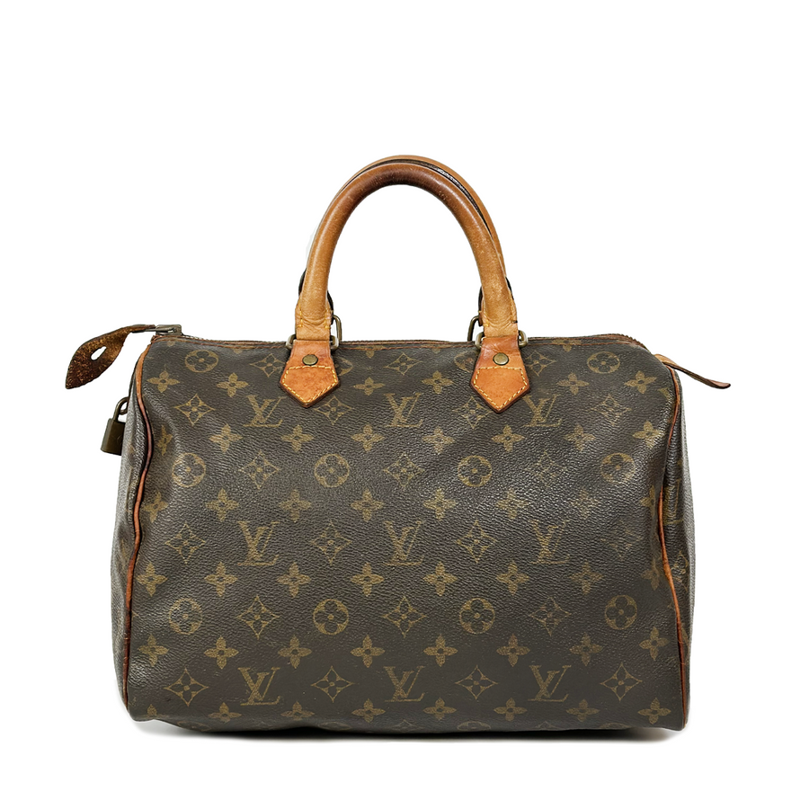 Louis Vuitton Speedy (30)