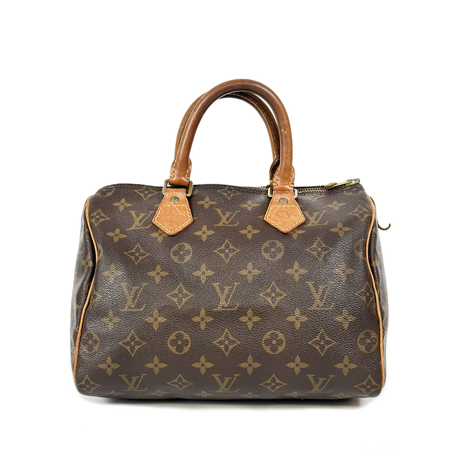 Louis Vuitton Speedy (25)