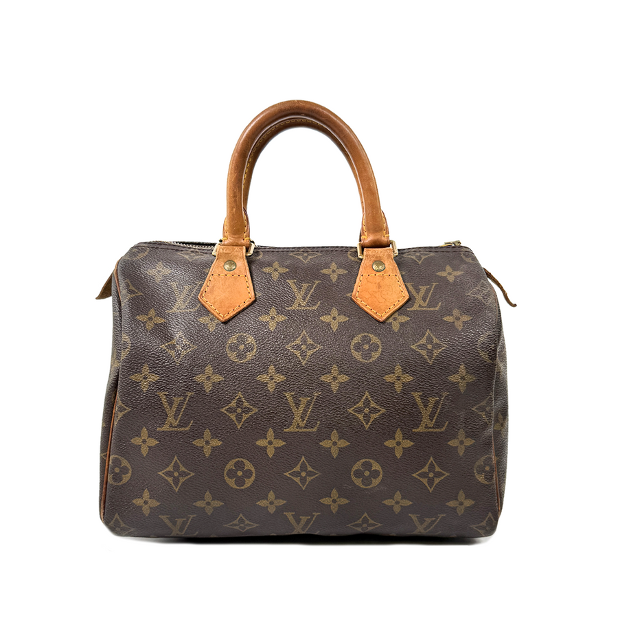 Louis Vuitton Speedy (25)