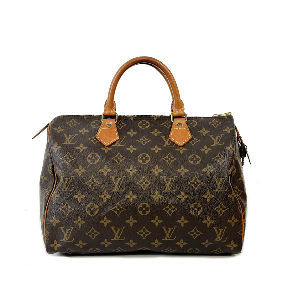 Louis Vuitton Speedy (30)