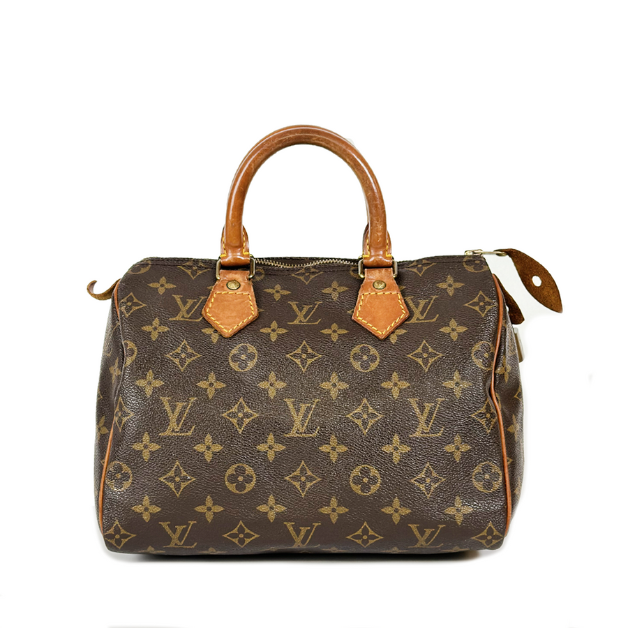 Louis Vuitton Speedy (25)