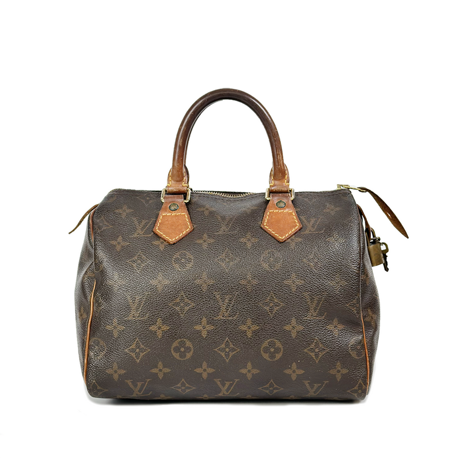 Louis Vuitton Speedy (25)