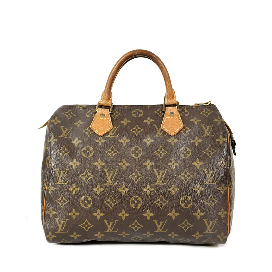 Louis Vuitton Speedy (30)