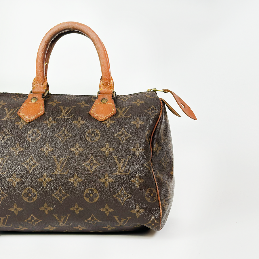 Louis Vuitton Speedy (25)