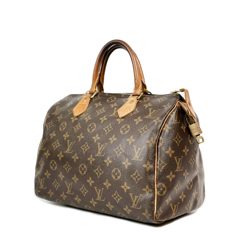 Louis Vuitton Speedy (30)