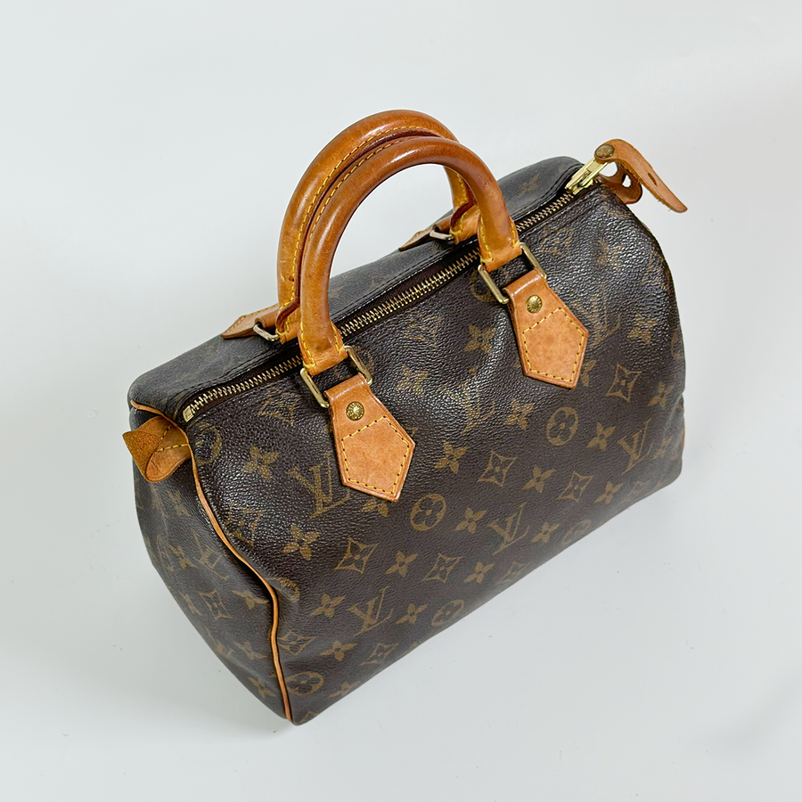 Louis Vuitton Speedy (25)