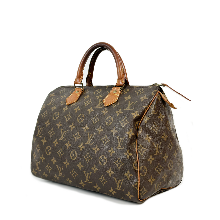 Louis Vuitton Speedy (30)