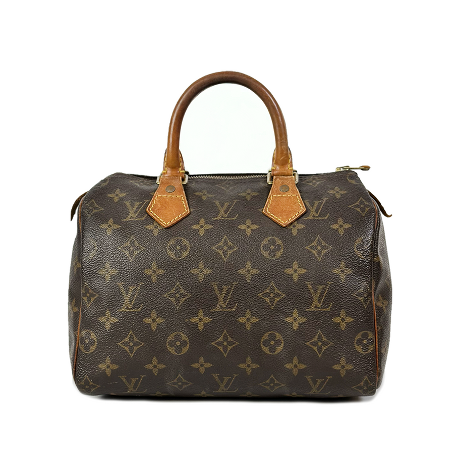 Louis Vuitton Speedy (25)