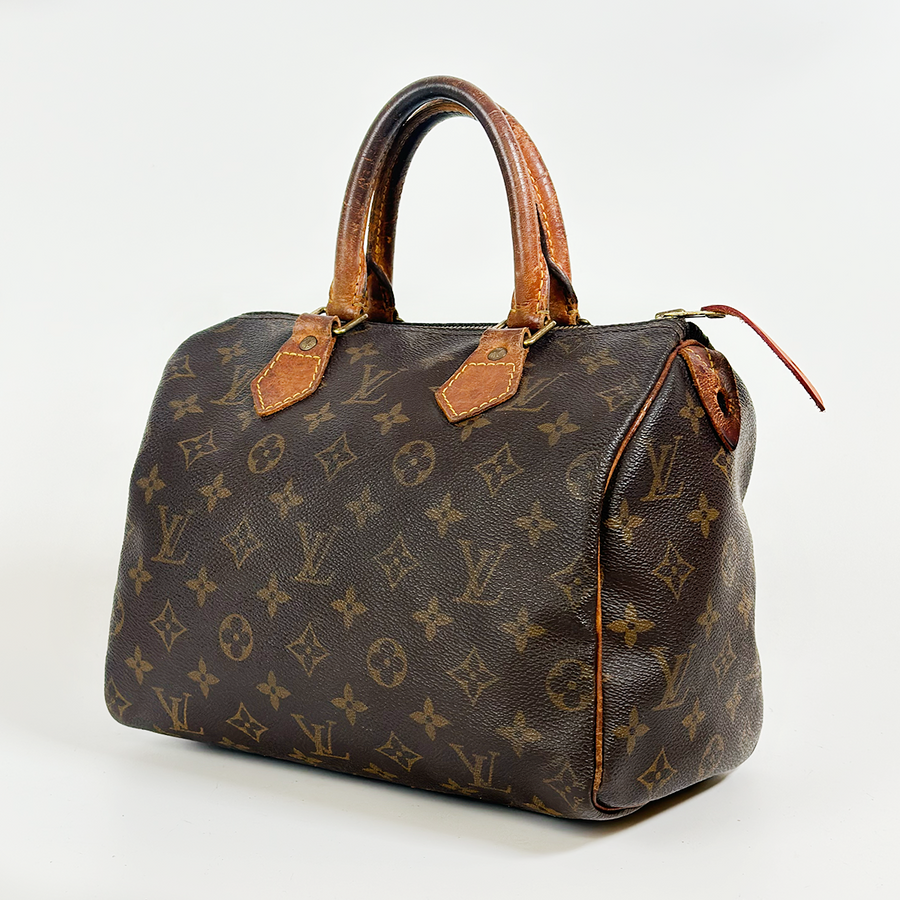 Louis Vuitton Speedy (25)