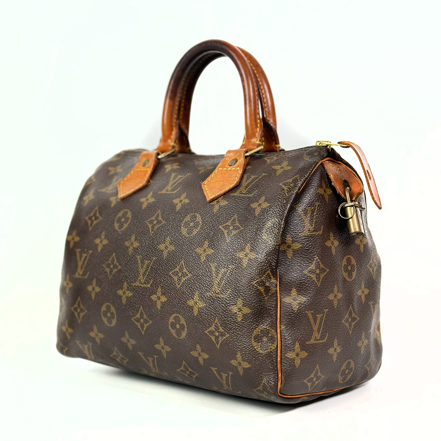 Louis Vuitton Speedy (25)