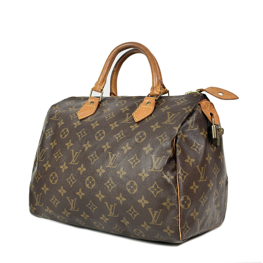 Louis Vuitton Speedy (30)