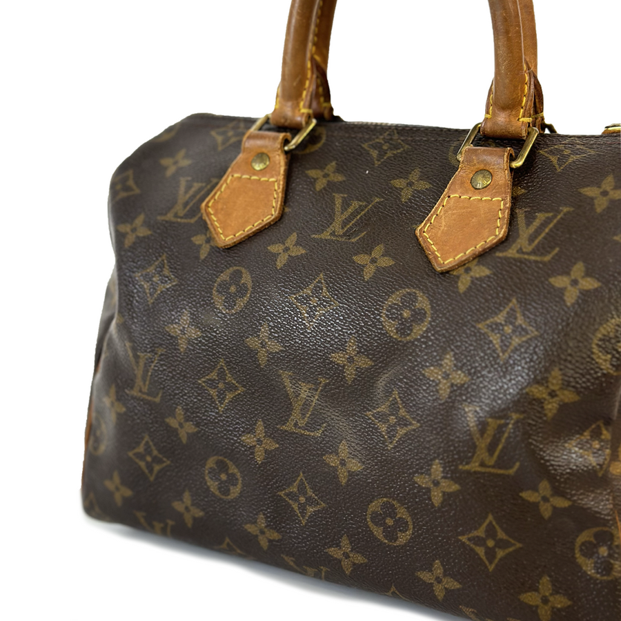 Louis Vuitton Speedy (25)