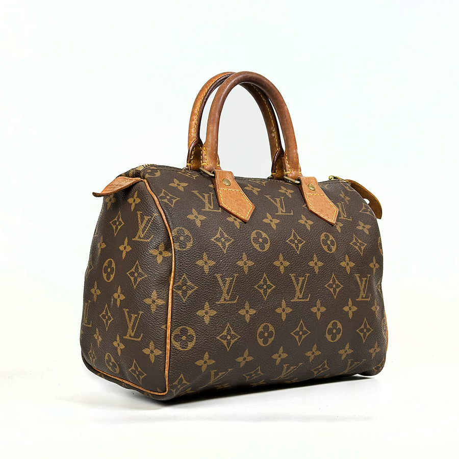 Louis Vuitton Speedy (25)