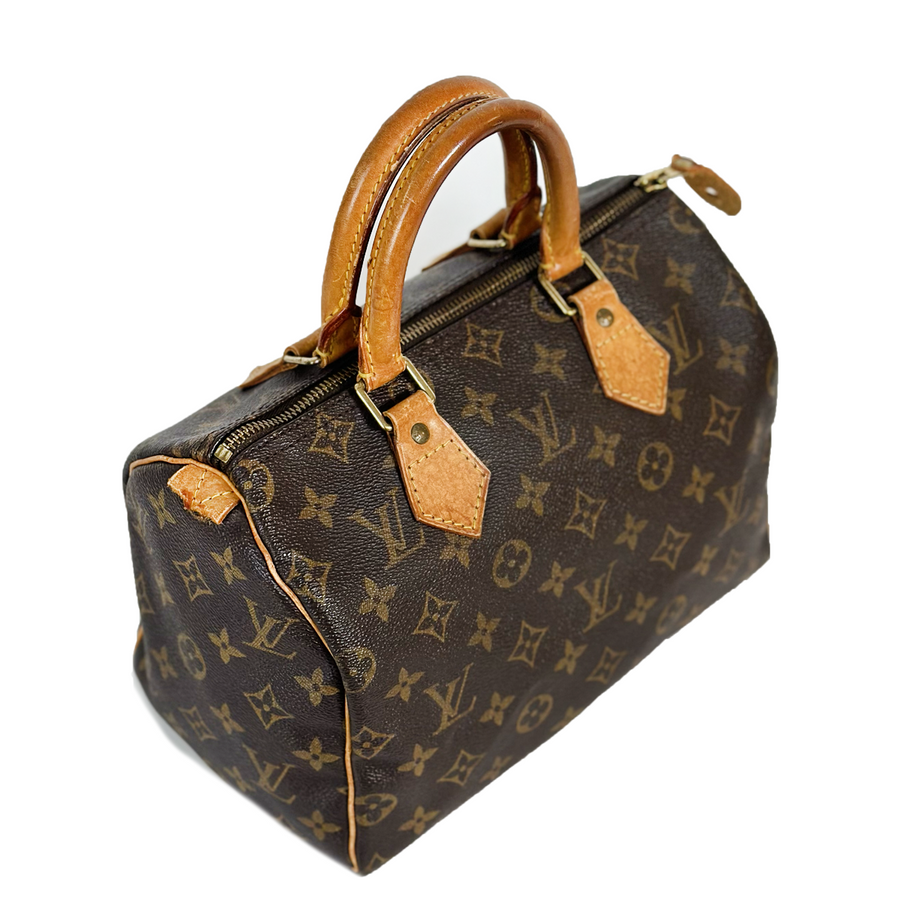 Louis Vuitton Speedy (25)