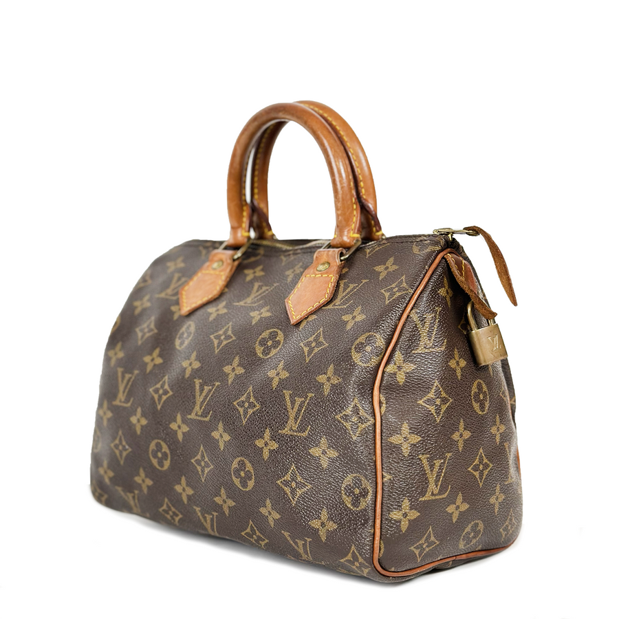 Louis Vuitton Speedy (25)