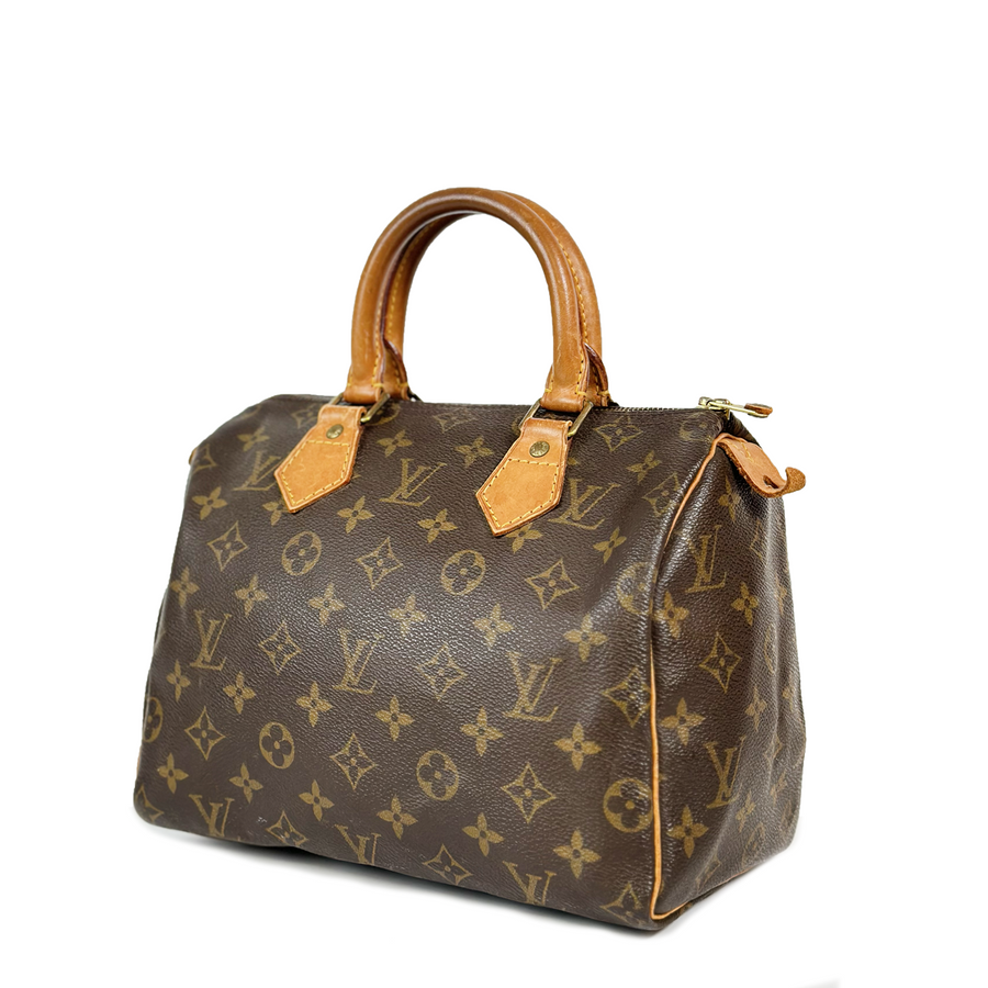 Louis Vuitton Speedy (25)