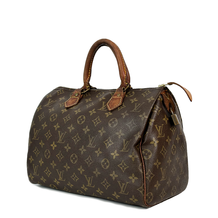 Louis Vuitton Speedy (30)