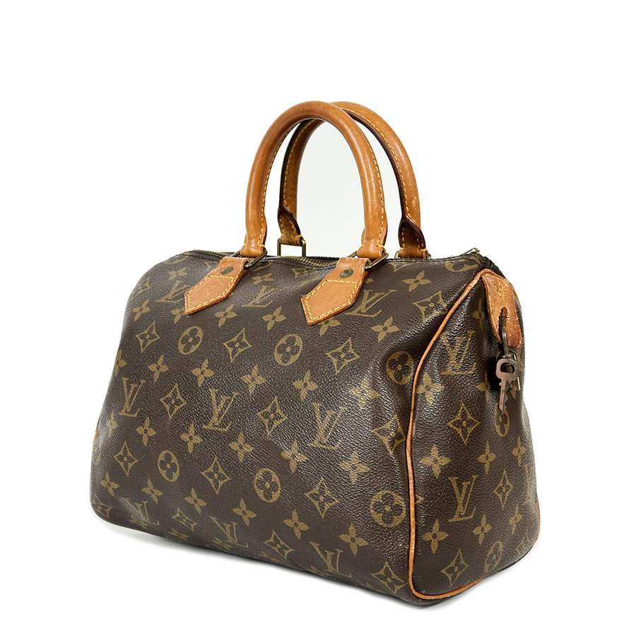 Louis Vuitton Speedy (25)