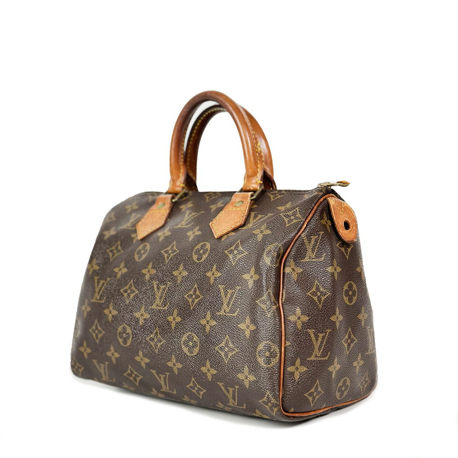 Louis Vuitton Speedy (25)