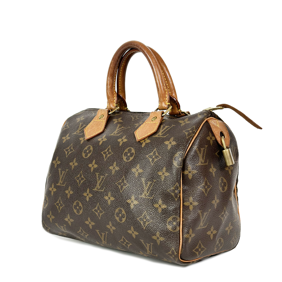 Louis Vuitton Speedy (25)