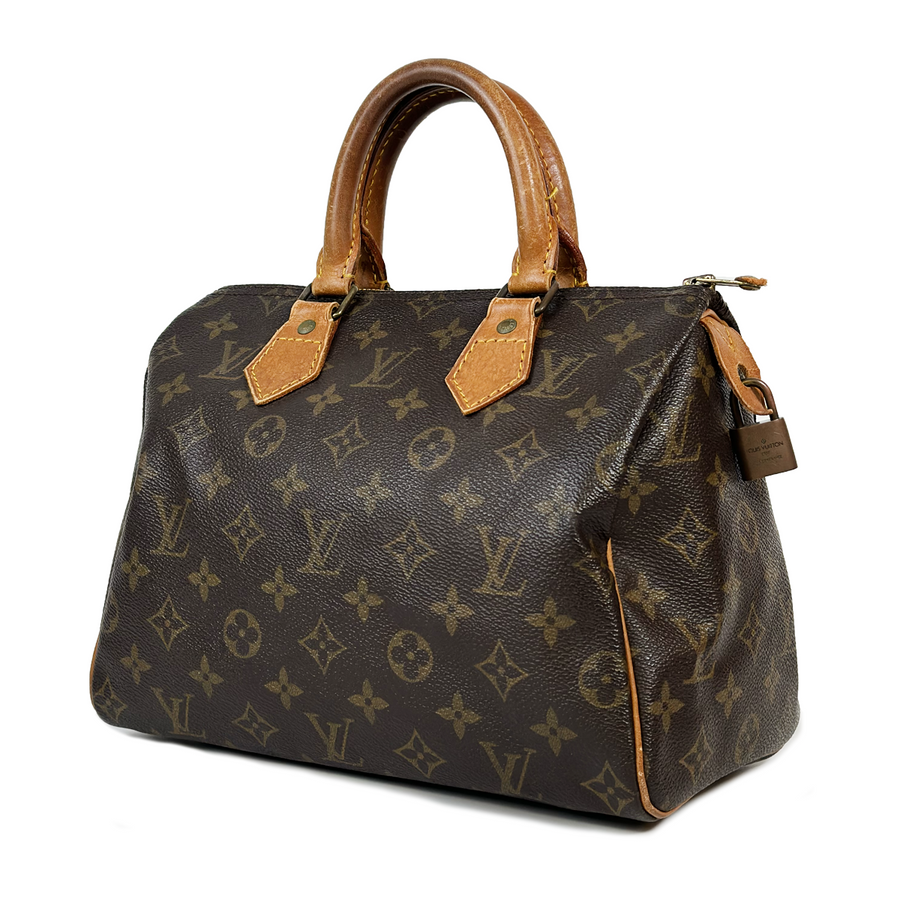 Louis Vuitton Speedy (25)