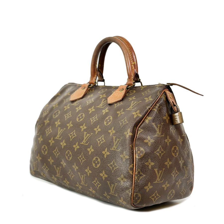 Louis Vuitton Speedy (30)