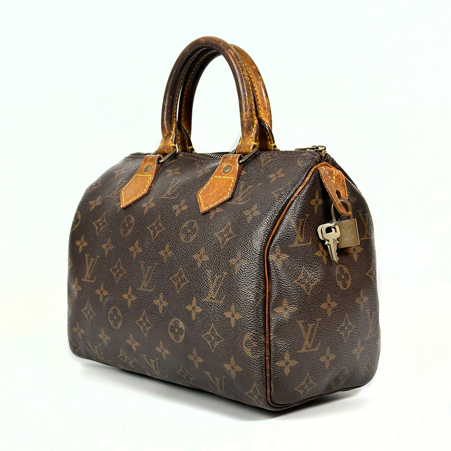 Louis Vuitton Speedy (25)