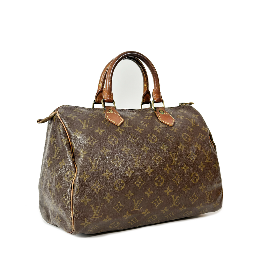 Louis Vuitton Speedy (30)