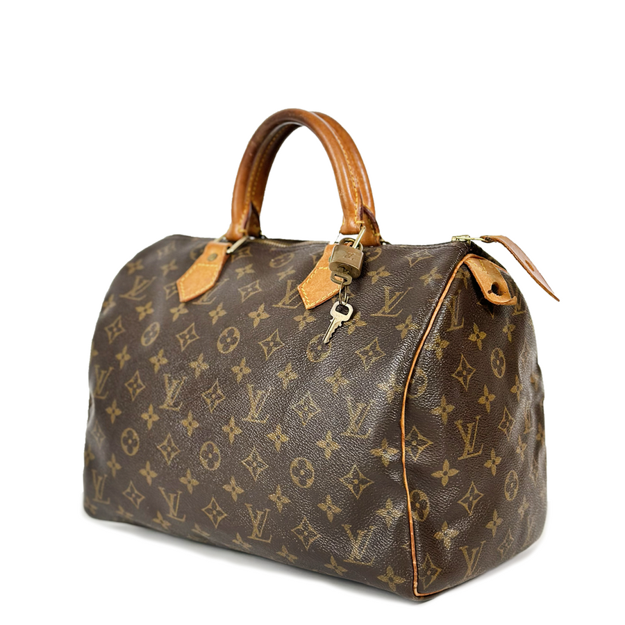 Louis Vuitton Speedy (30)