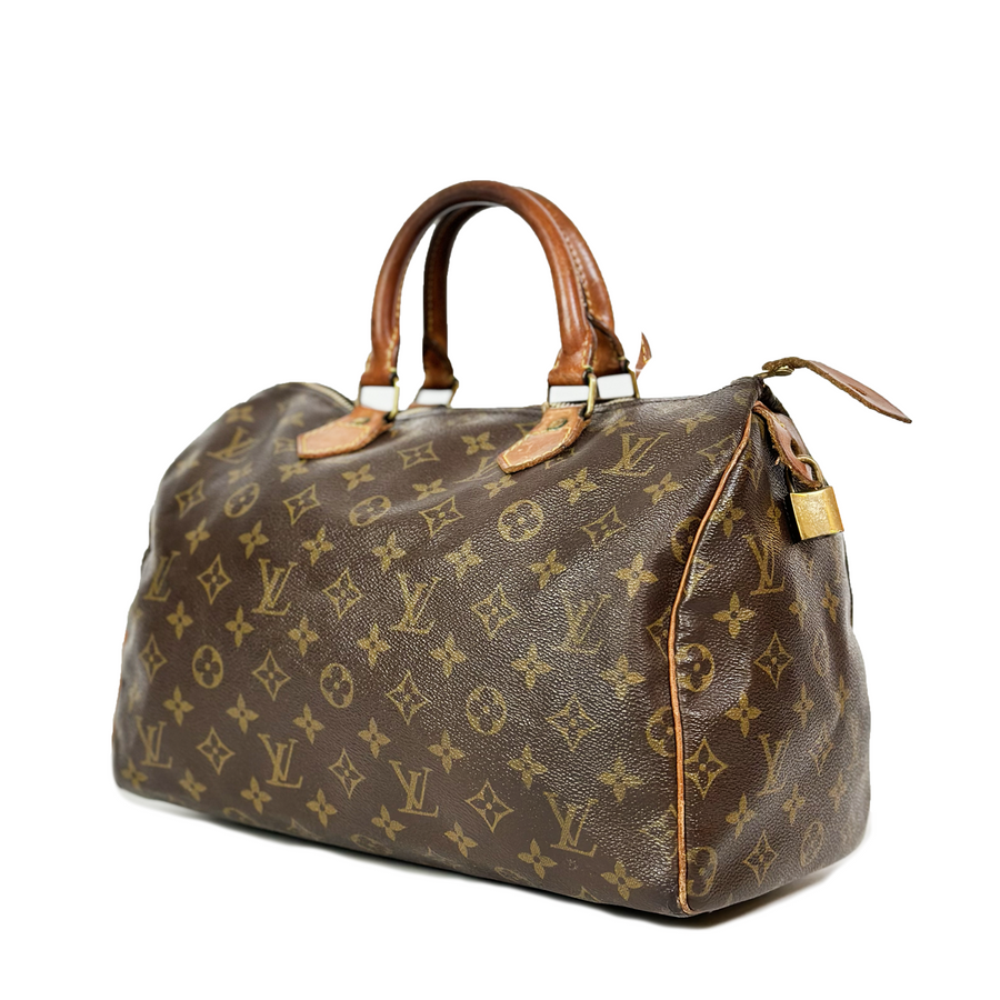 Louis Vuitton Speedy (30)