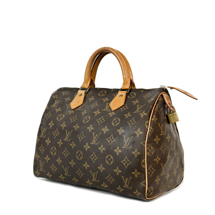 Louis Vuitton Speedy (30)