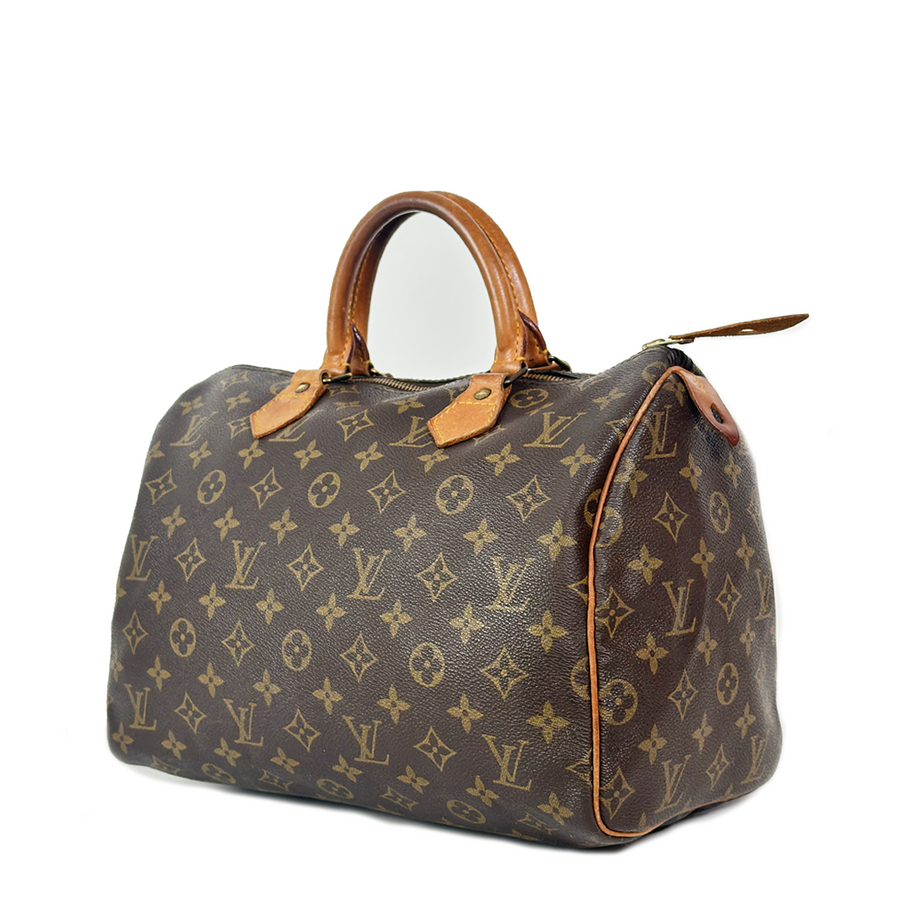 Louis Vuitton Speedy (30)