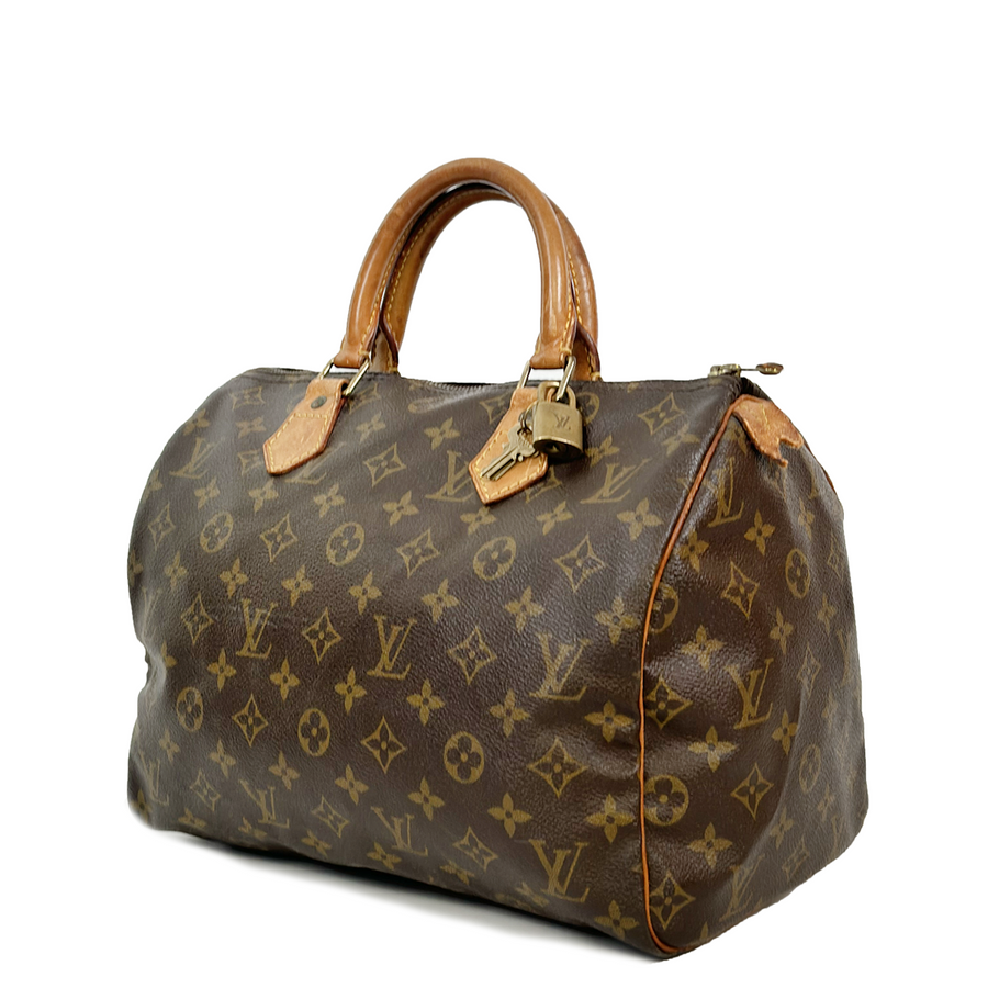 Louis Vuitton Speedy (30)