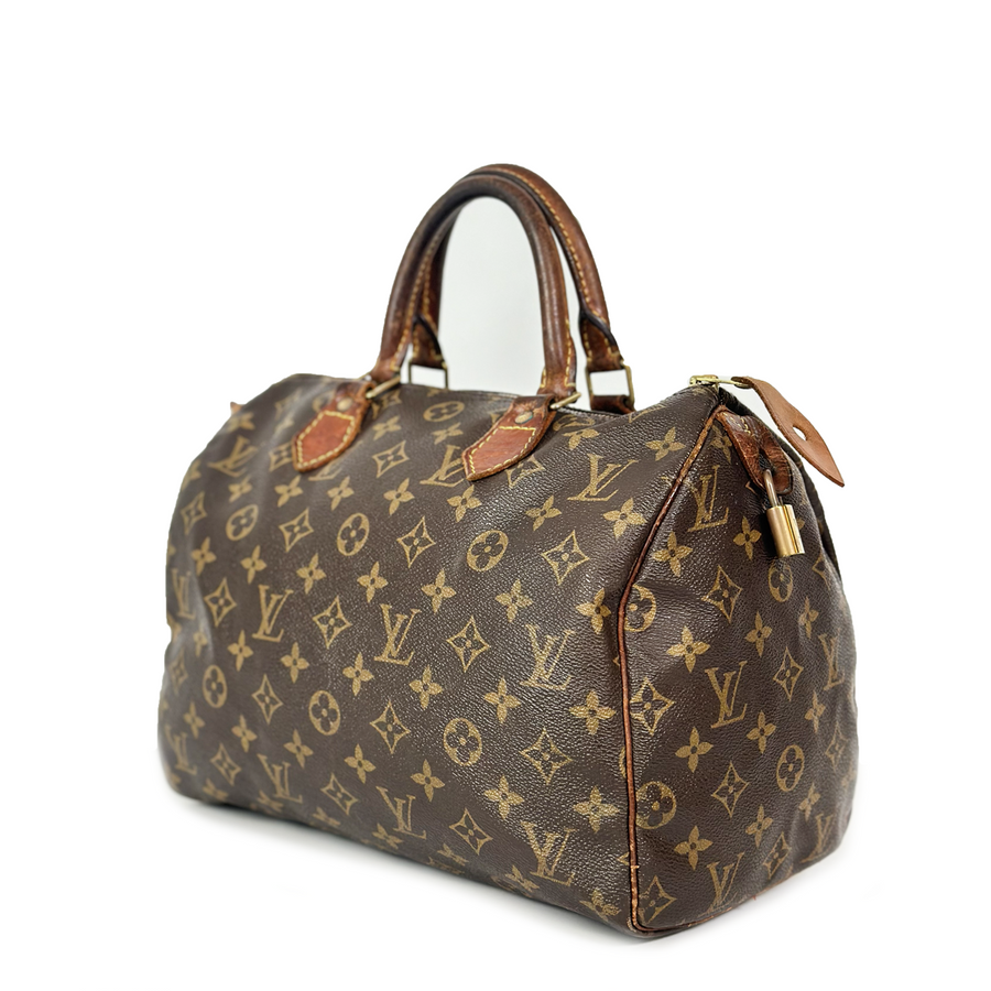 Louis Vuitton Speedy (30)