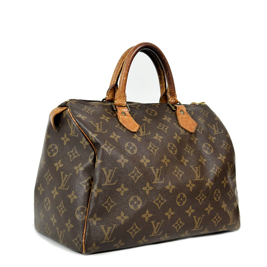 Louis Vuitton Speedy (30)