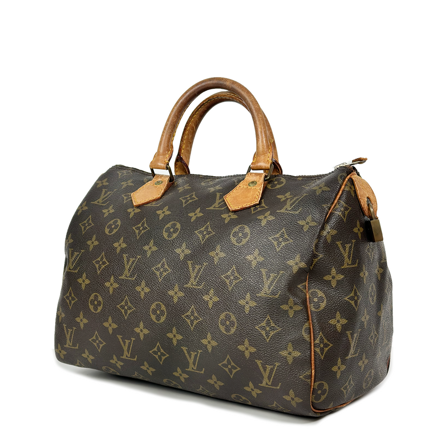 Louis Vuitton Speedy (30)