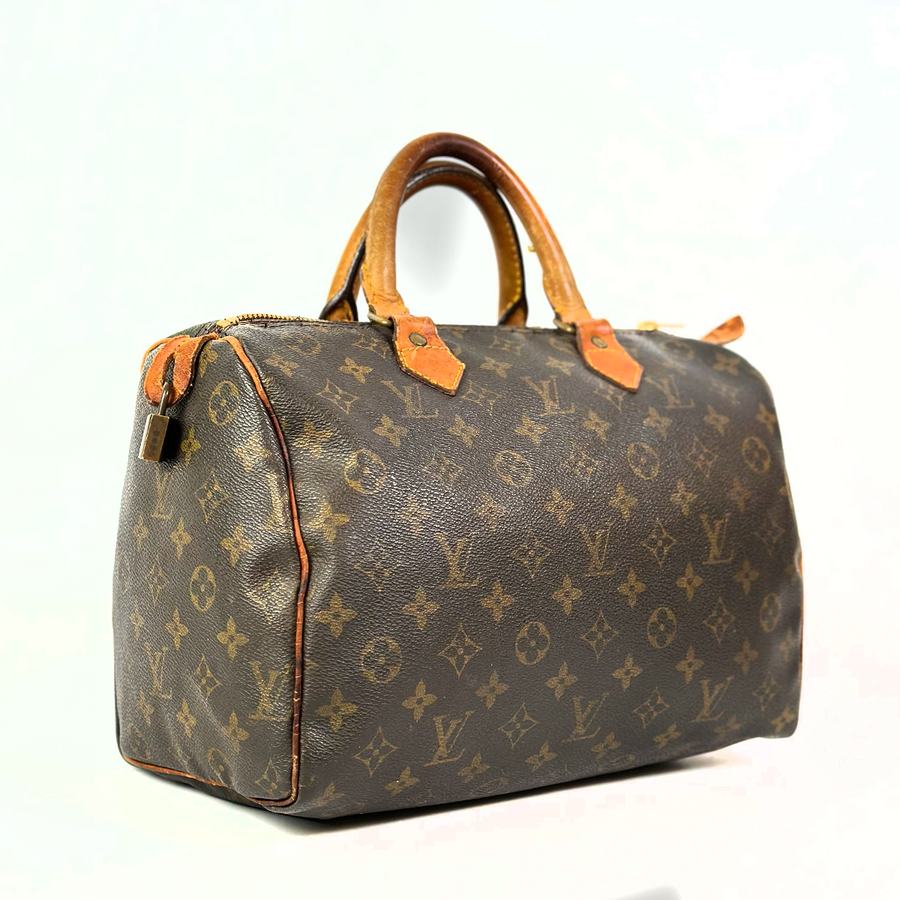 Louis Vuitton Speedy (30)