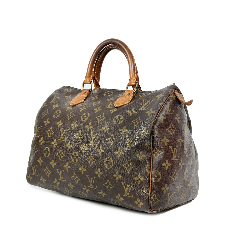 Louis Vuitton Speedy (30)