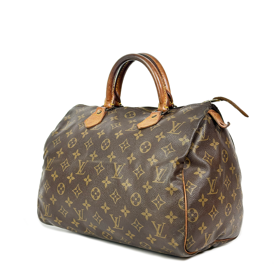 Louis Vuitton Speedy (30)