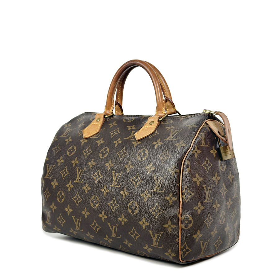 Louis Vuitton Speedy (30)