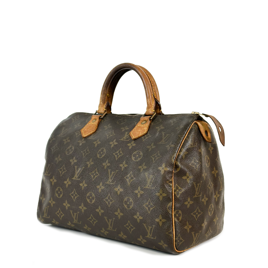 Louis Vuitton Speedy (30)