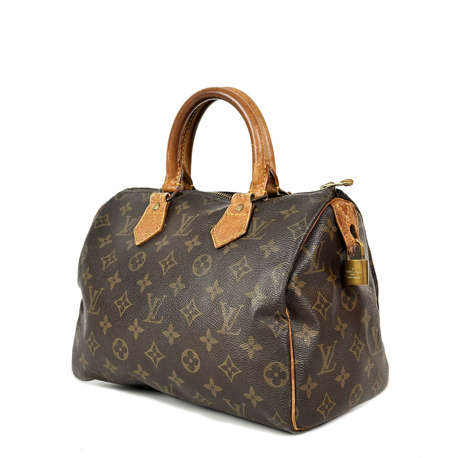 Louis Vuitton Speedy (25)