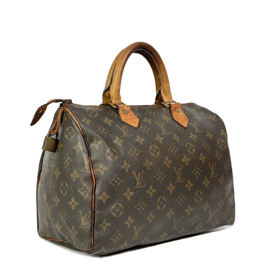 Louis Vuitton Speedy (30)