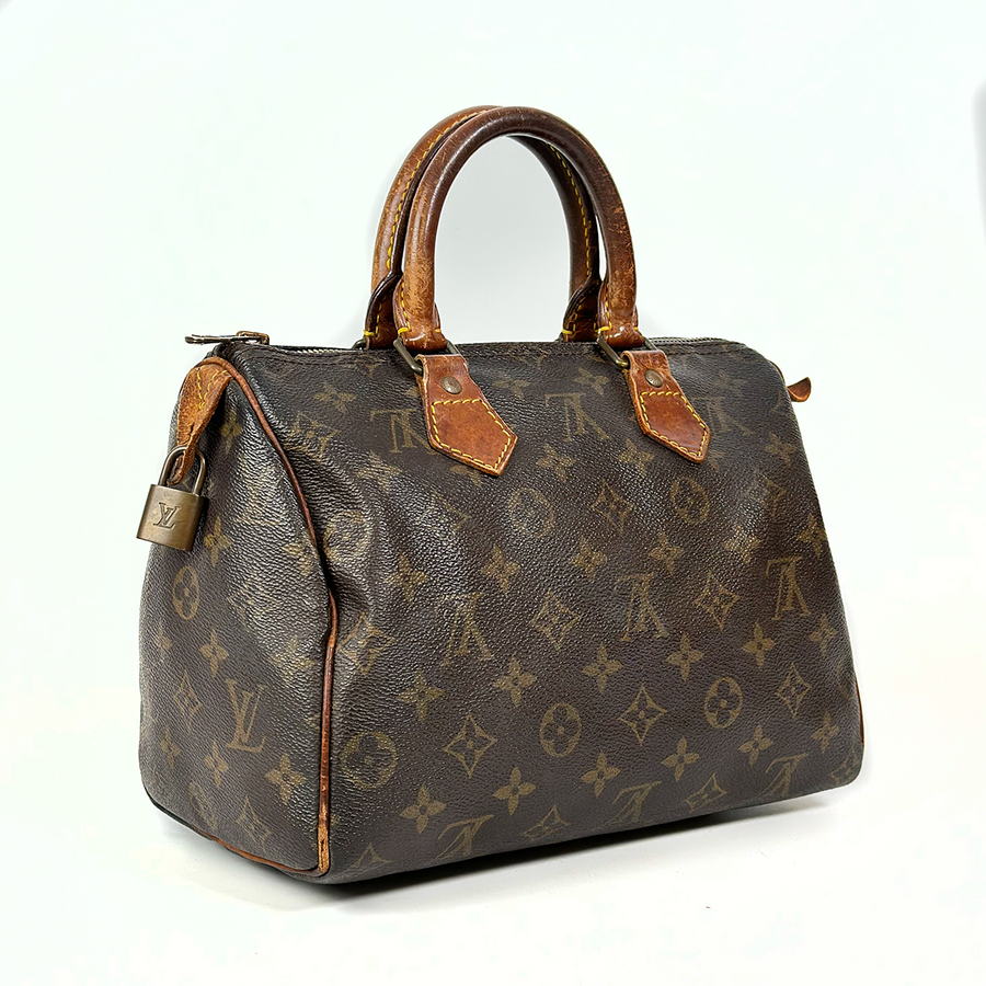 Louis Vuitton Speedy (25)