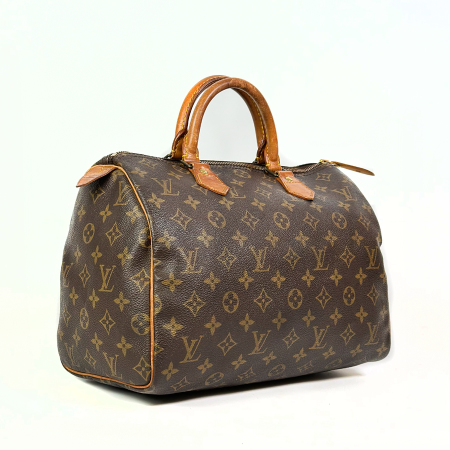 Louis Vuitton Speedy (30)